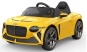 NESJE1008 License Bentley Bacalar