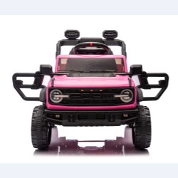 B0976 (12V4.5)  Licensed Brand: FORD